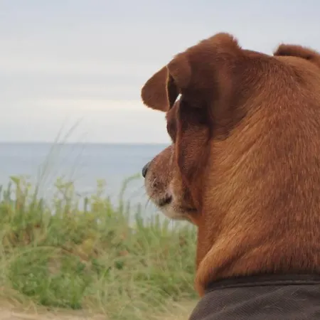 Vue Panoramique Lägenhet