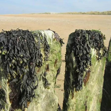 アパート Vue Panoramique