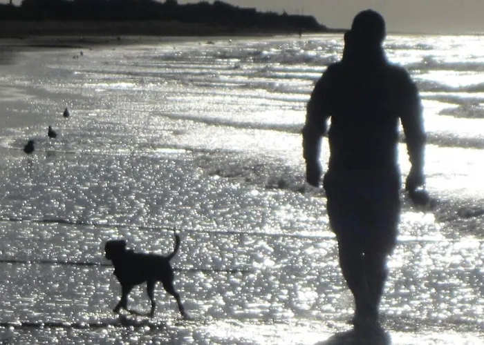 アパート Vue Panoramique