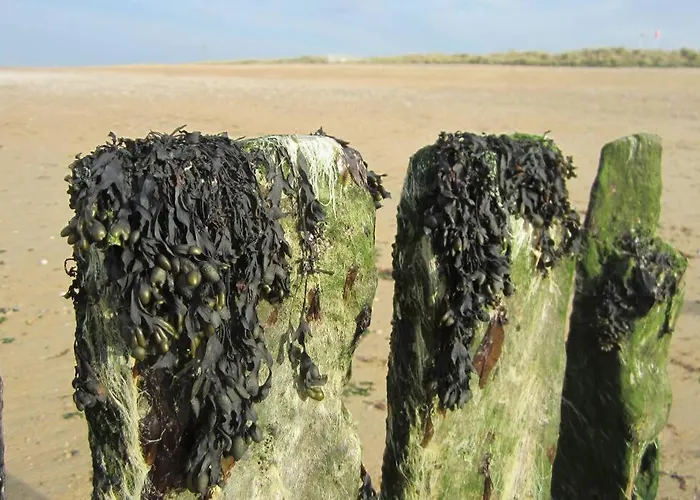 アパート Vue Panoramique